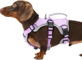 Escape Proof Dog Harness, Dachshund Harness, Reflective Dog Harness with Handle, Durable,Adjustable Vest for Small Medium Large Dogs Walking, Training, and Running Gear (Lavender Purple,S) by Huntboo