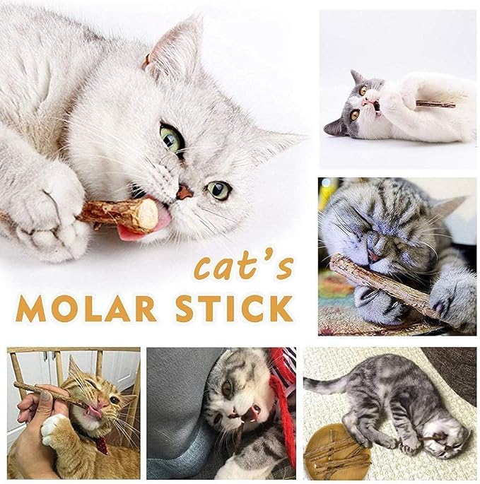 AILUKI 35PCS Cat Toys Variety Pack for Indoor Cats, Kitten Toys Cat Tunnel | Kitten Toys for Indoor Kittens Cat Toy Bundle Set with Feather Wand, Plush Mice, Crinkle Balls & Interactive Cat Toys Bundle - Image 7