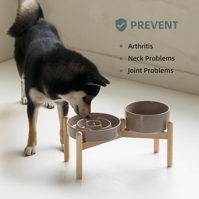Havniva Elevated Slow Feeder Dog Bowls, Ceramic Dog Bowl Slow Feeder Set | 1.2 Cups Raised Slow Feeder Dog Bowl for Small Breed, 6.1” Dog Water Bowl with Wooden Stand, Puzzle Dog Food Bowl, Non-slip - Image 6