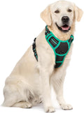 rabbitgoo Dog Harness, No Pull for Large Dogs with 2 Leash Clips, Pet Vest | No Choke with Handle, Adjustable Soft Padded, Reflective, Easy Control for Walking, Black & Turquoise, X-Large by rabbitgoo