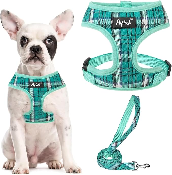 PUPTECK Small Dog Harness and Leash Set No Pull for XS XXS Sized Dogs Puppy | Escape Proof No Choke Pet Cat Adjustable Soft Padded Walking Vest by PUPTECK