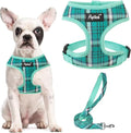 PUPTECK Small Dog Harness and Leash Set No Pull for XS XXS Sized Dogs Puppy | Escape Proof No Choke Pet Cat Adjustable Soft Padded Walking Vest by PUPTECK