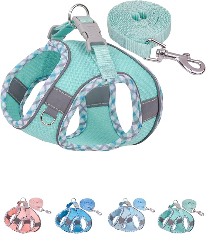 Petank Dog Harness for Small Medium Dogs No Pull, Puppy Harness and Leash Set, Step in Dog Harness for Walking, Running, Training, Small Dog Vest, Medium Dog Vest (Green, M) by Petank