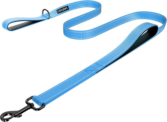 Dog Leash 4ft Long,Double Handle Dog Leash for Control Training | Heavy Duty Dog Leads with Traffic Padded Handles, Reflective Leashes for Small Medium Large Dogs(4ft, Sky Blue) by LIEVUIKEN