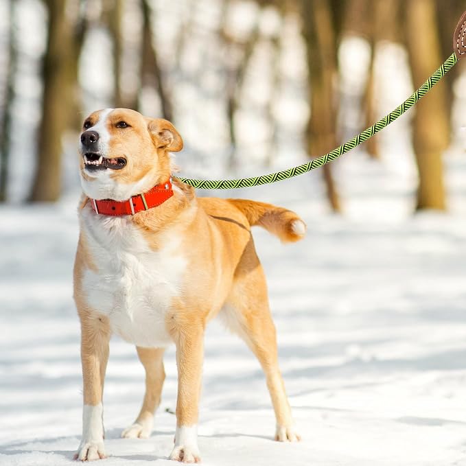 Mile High Life Dog Leash with Genuine Leather-Wrapped Ends, 4/5/6FT | Tangle-Free 360° Swivel Clasp Heavy Duty Rope Leash | Small Medium Large Dogs | Daily Walking (Lime Green, 48 Inch, 1/2") - Image 3