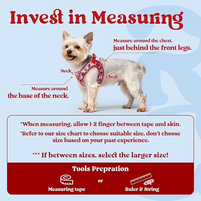 rabbitgoo Step-in Small Dog Harness, Puppy Vest for Small Sized Pet | Easy Put on and off, Lightweight, Soft, Breathable Quick-Dry Air Mesh for Comfortable Secure Walking, Apple Pups M - Image 2