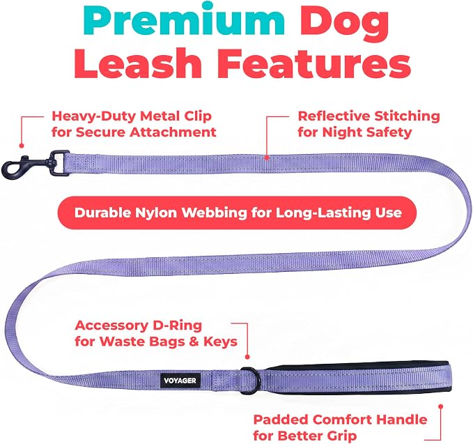 Best Pet Supplies Voyager Nylon Dog Leash - Lavender, Medium | 5ft in Length, 3/4" in Width, Reflective, Soft Neoprene Handle, Heavy Duty Metal Clips for Running, Walking & Training - Image 2