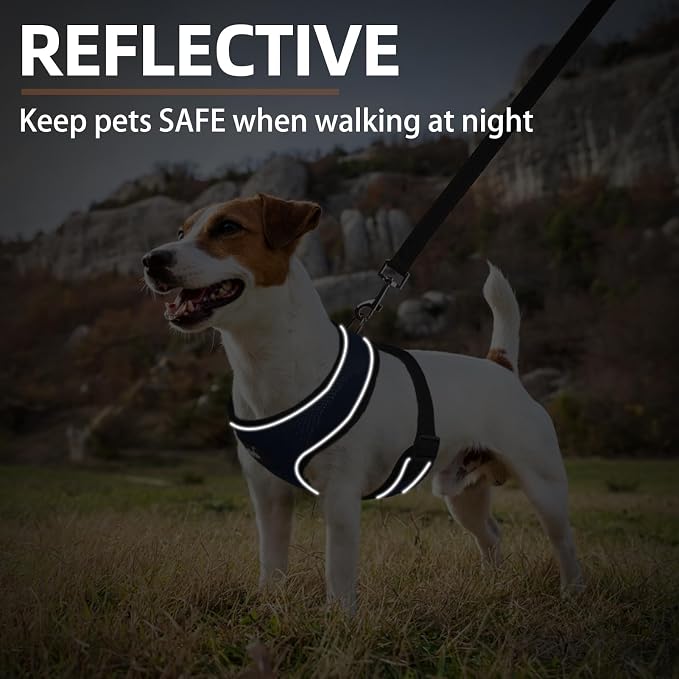 PUPTECK Small Dog Harness and Leash Set No Pull for XS XXS Sized Dogs Puppy | Escape Proof No Choke Pet Cat Adjustable Soft Padded Walking Vest - Image 6
