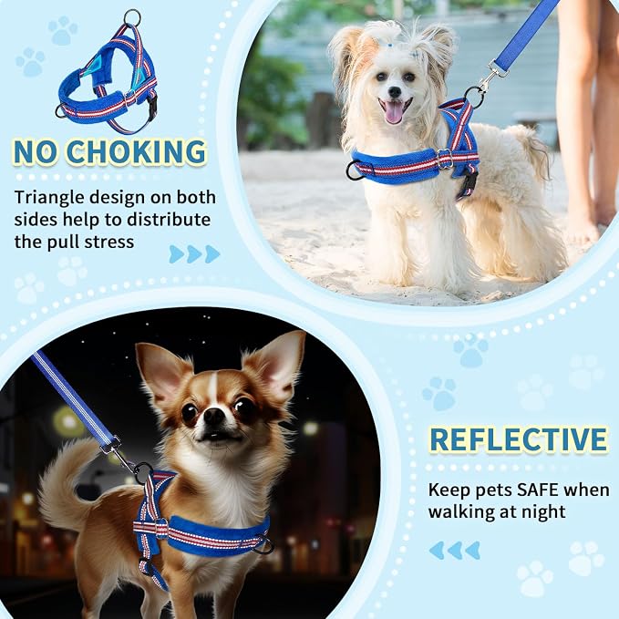 SlowTon No Pull Small Dog Harness and Leash Set with Front Clip | Soft Padded, Neck & Chest Adjustable, Lightweight, Anti-Twist, Puppy Vest Harness Pet Lead Combo for Small Medium Dog DBL XXS - Image 3
