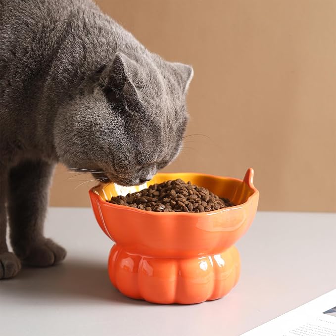 Cute Pumpkin Shaped Raised Ceramic Cat Water Bowl, 9 oz | Whisker Friendly, Anti Vomiting, Elevated Design, Indoor Cats - Image 4
