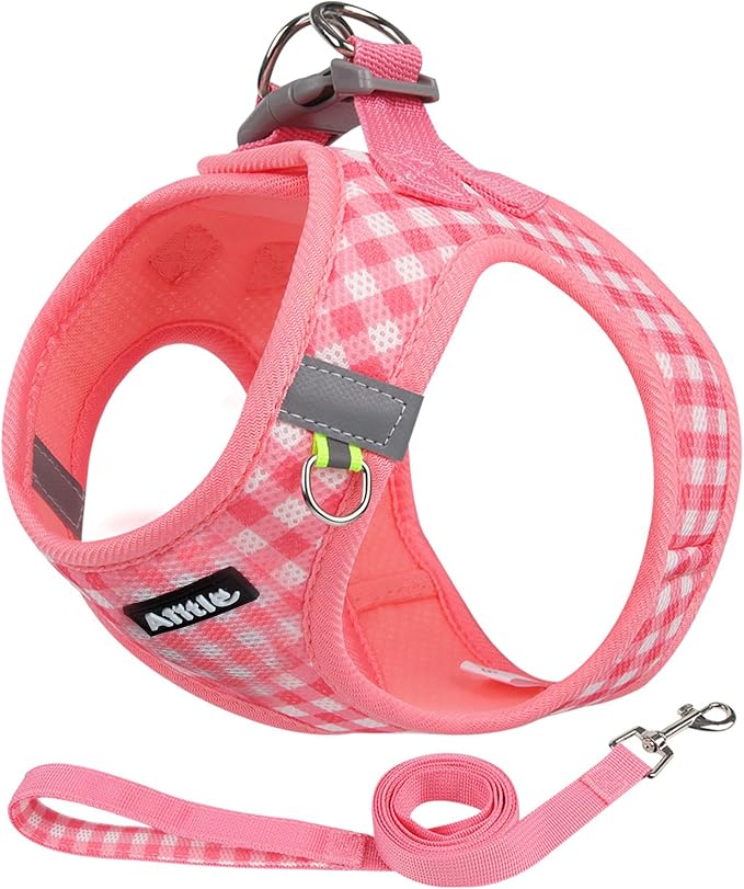 AIITLE Step in Small Dog Harness and Leash Set, Pet Vest, Watermelon S | Breathable Mesh, Adjustable Fit, No-Pull Reflective Design, Escape Proof, for Small-Medium Dogs, Outdoor Walking, Running by AIITLE-FORPETSBETTERLIFE