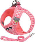 AIITLE Step in Small Dog Harness and Leash Set, Pet Vest, Watermelon XS | Breathable Mesh, Adjustable Fit, No-Pull Reflective Design, Escape Proof, for Small-Medium Dogs, Outdoor Walking, Running by AIITLE-FORPETSBETTERLIFE