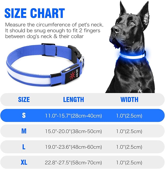 Illumifun LED Collar for Dogs, USB Rechargeable Light Up Dog Collars Glow in the Dark (Blue, Small) - Image 5