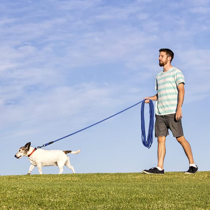 Long Dog Leash for Training 15Ft-Reflective Nylon Rope with Swivel Hook-Recall Agility Lead for Large Small Medium Dogs Outside Walking Hiking-Royal Blue - Image 6