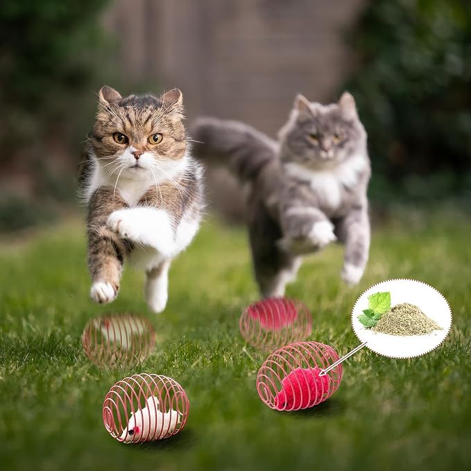 Jecery 5 Pcs Cat Toys Spring,Catnip Rats,Bright Color | Interactive Metal Cat Toy, Stretchable Rolling Ball, for Indoor Cats, Colorful Playful Coils, Kitten Pet Supplies - Image 6