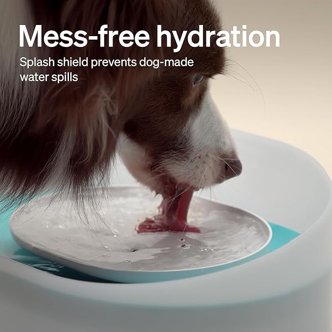 PETLIBRO 2.1Gal/8L Dog Water Fountain for Large Dog, Anti-Splash Dog Water Bowl Dispenser, Super Quiet Pet Water Fountain, 5 Layer Filtration Water Dispenser for Large Dogs Cats and Multi-Pet Homes - Image 3