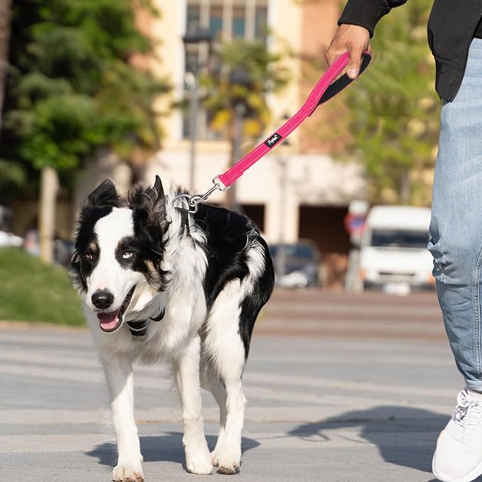 PUPTECK Reflective Short Dog Leashes 3 Pack for Walking and Training | Heavy Duty Clip with Soft Padded Handle for Medium Large Dogs Traffic Control - Image 7