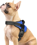 rabbitgoo No Pull No Choke Pet Vest, Adjustable Pet Harness with Molle | Small Sized Dog Harness, Reflective, Easy Wearing with One Buckle for Walking, Training, Blue, S by rabbitgoo