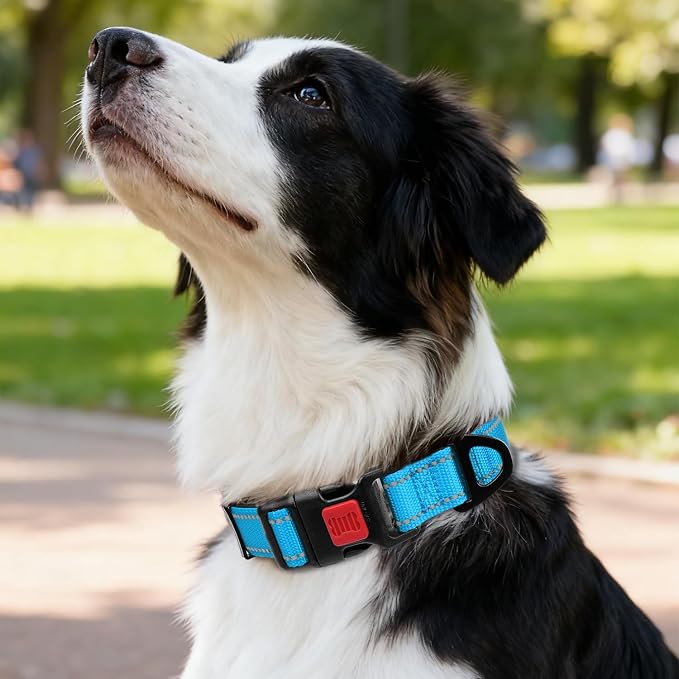 Taglory Reflective Dog Collar for Medium Dogs, Soft and Safe for Daily Walk | Soft Neck Cushioning, Adjustable 14-20 in, Sturdy Webbing Withstands Strong Pullers, Zinc Alloy D-Ring for Leash and ID Tags - Image 2