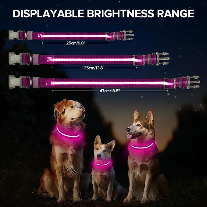 LED Dog Collar, Light Up Dog Collar USB-C Rechargeable Waterproof | 360° Visibility Light Up Dog Collar, Adjustable Nylon Collar with 3 Modes for Small Medium Large Dogs Night Walk Pink M - Image 3