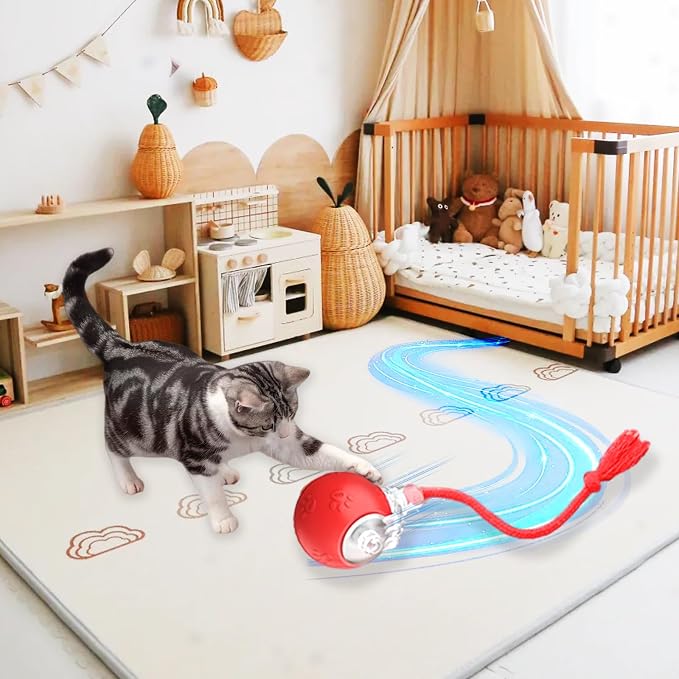 Moving Pet Ball, Cat String Toy for Indoor Cats & Small Dogs | juguetes para gatos|chirping bird cat toy|motion activated cat toy|cat toys for bored indoor adult cats - Image 7