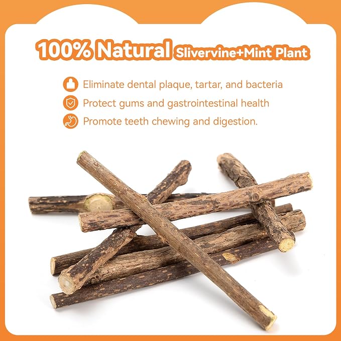 6Pcs Silvervine Sticks for Cats with Catnip Bag, Cat Chew Toys for Teeth Cleaning and Anxiety Relief, Natural Dental Care Kit for Indoor Cats & Kittens - Image 6