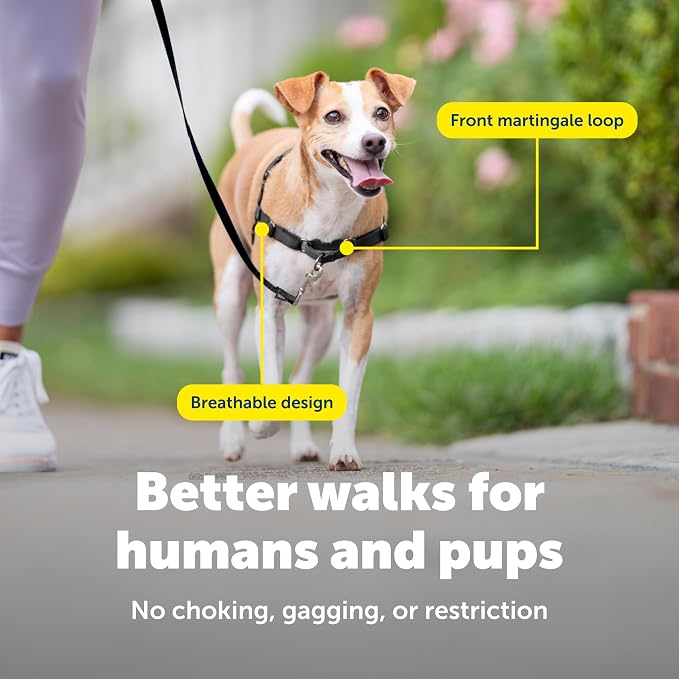 PetSafe Easy Walk Harness, No Pull Dog Harness, Red, Small | Patented Martingale Loop Gives Gradual Shoulder Pressure to Stop Pulling, Front-Chest Leash Clip Prevents Gagging - Image 4