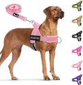 SlowTon No Pull Dog Harness with Front Clip - Heavy Duty, Soft Padded | Neck & Chest Adjustable, Tactical Pet Vest and Leash Set for Large Medium Sized Dogs, for Easy Walk & Training, Pink L by SlowTon