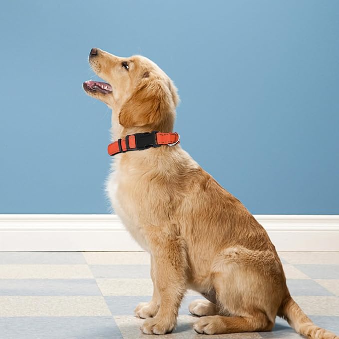 Reflective Dog Collar, Adjustable Soft Neoprene Padded,Orange,S | Breathable Nylon for Small Dogs,Tear-Resistant Webbing,Chafe‑Free on Walks and Hikes,Metal D-Ring,Night Safety - Image 2