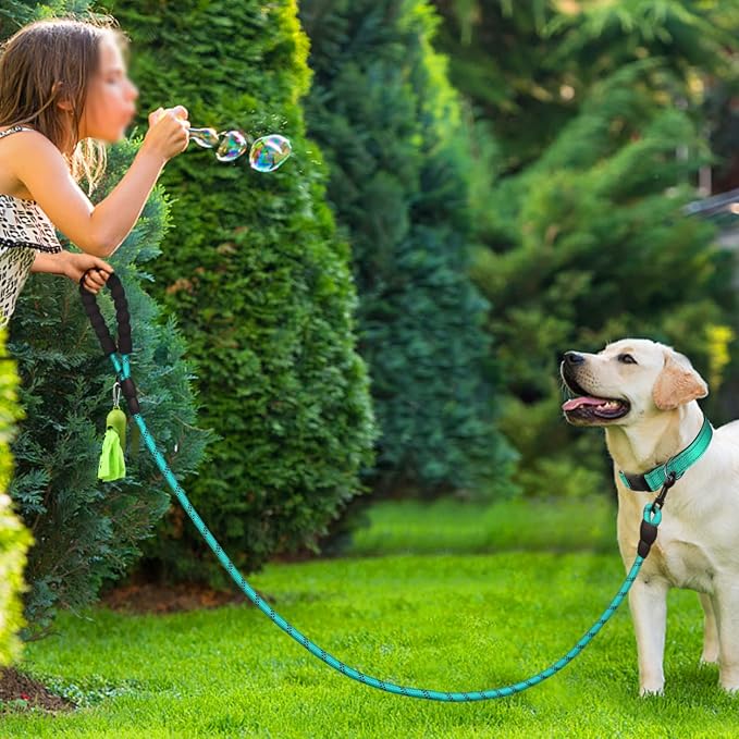 Dynmeow Reflective Dog Collar and Leash Set for Medium Dogs, Teal | Soft Neoprene Padded, 6FT Climbing Rope, Ideal for Daily Outdoor Walking or Indoor Wearing, Night Visible for Safety - Image 6