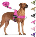 SlowTon No Pull Dog Harness with Front Clip - Heavy Duty, Soft Padded | Neck & Chest Adjustable, Tactical Pet Vest and Leash Set for Large Medium Sized Dogs, for Easy Walk & Training, Fuchsia XL by SlowTon