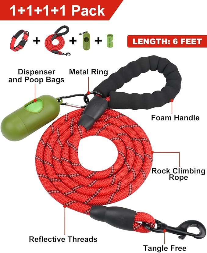 Dynmeow Reflective Dog Collar and Leash Set for Small Dogs, Red | Soft Neoprene Padded, 6FT Climbing Rope, Ideal for Daily Outdoor Walking or Indoor Wearing, Night Visible for Safety - Image 3