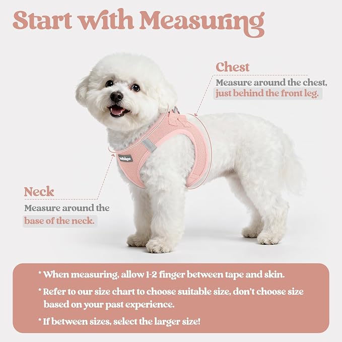 rabbitgoo Dog Harness Medium Sized and Leash Set, Step-in Puppy Pet Vest | Light, Soft, Breathable Air Mesh, Easy on and Remove with Hook & Loop, Secure Reflective for Walking, Pink XXL - Image 2