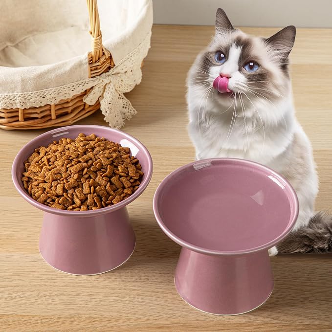 Ceramic Elevated Cat Bowls - 6.2 Inch Extra Wide Raised Cat Food and Water Bowl Set for Indoor Cats, Whisker-Friendly Ceramic Cat Dish for Elder Big Cats & Small Dogs,Dark Purple,1 Pack - Image 5