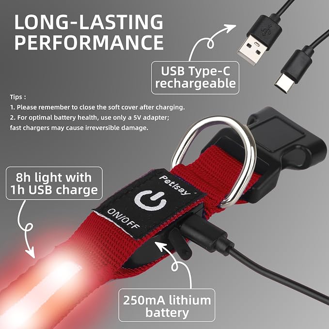 Super Bright LED Dog Collar, Waterproof Light up Collars(Red, S) | Lighted Dog Collar with Adjustable Fit, Soft Nylon Comfort, USB-C Rechargeable, Glow in the Dark Visibility for Night Walks - Image 7