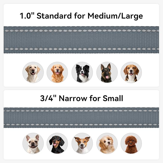 Joytale Reflective Dog Leash for Small Dogs, 5 FT x 3/4", Gray | Heavy Duty Nylon Webbing, Padded Handle for Comfort, Visible at Night, for Walking & Training - Image 6