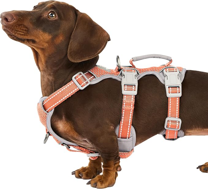 Escape Proof Dog Harness, Escape Artist Harness, Fully Reflective Harness with Padded Handle, Breathable, Durable, Adjustable Vest for Small Dogs Walking, Training, and Running Gear (Orange,S) by Huntboo