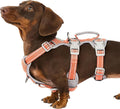 Escape Proof Dog Harness, Escape Artist Harness, Fully Reflective Harness with Padded Handle, Breathable, Durable, Adjustable Vest for Small Dogs Walking, Training, and Running Gear (Orange,S) by Huntboo