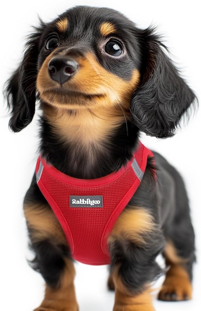 rabbitgoo Step-in Small Dog Harness, Puppy Vest for Small Sized Pet | Easy Put on and off, Lightweight, Soft, Breathable Quick-Dry Air Mesh for Comfortable Secure Walking, Red XXS by rabbitgoo