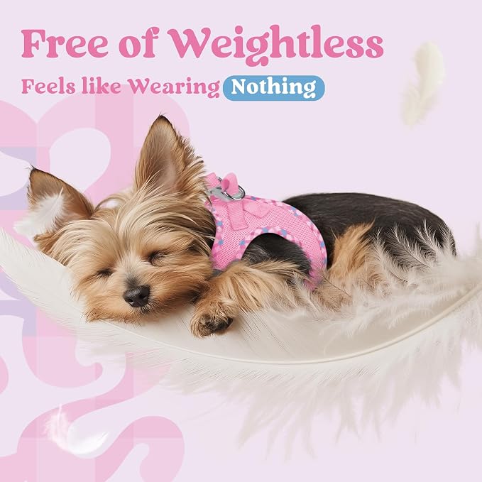 rabbitgoo Step-in Small Dog Harness, Puppy Vest for Small Sized Pet | Easy Put on and off, Lightweight, Soft, Breathable Quick-Dry Air Mesh for Comfortable Secure Walking, Pink & Plaid Trim XXS - Image 5