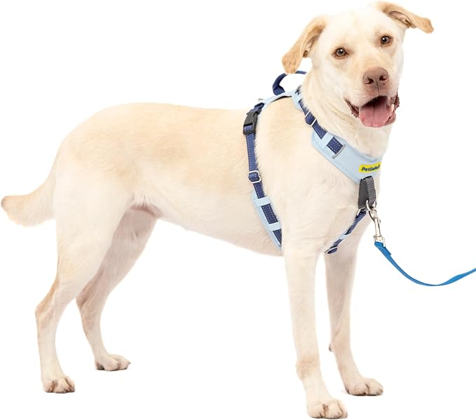 PetSafe Easy Walk Comfort No Pull Dog Harness, Blue, Large | Stops Pulling on First Use with Front Martingale Loop, Full-Body Padding, 5-Point Adjustable Fit by PetSafe
