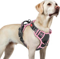 rabbitgoo Dog Harness for Large, Updated Easy On & Off with 3 Buckles | No Pull No Choke, Walking with 2 Clips and Handle, Adjustable Soft Reflective, Black & Pink, Large by rabbitgoo