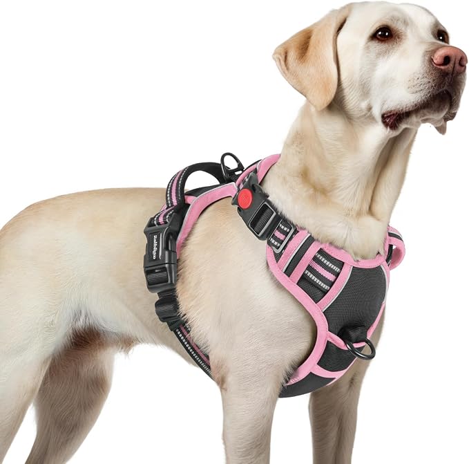 rabbitgoo Dog Harness for Large, Updated Easy On & Off with 3 Buckles | No Pull No Choke, Walking with 2 Clips and Handle, Adjustable Soft Reflective, Black & Pink, Large by rabbitgoo
