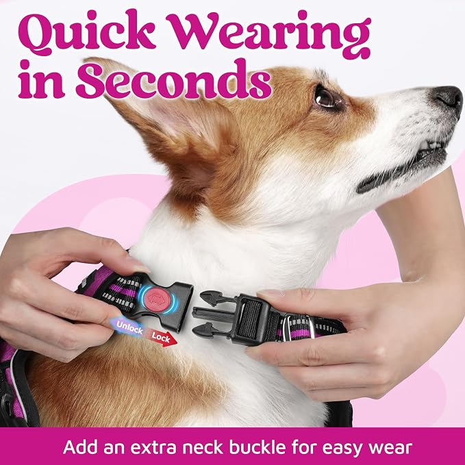rabbitgoo Dog Harness Small Sized, No Pull 3 Buckles Easy On & Off | Soft Padded, Walking with Control Handle, Adjustable and Reflective, Purple, Small - Image 2