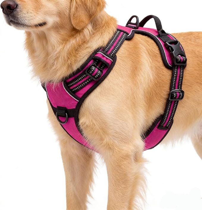 Hot Pink No-Pull Dog Harness with 2 Leash Clips，Soft Padded Vest for Small Dog, Adjustable Reflective Dog Vest Easy to Put on and Take Off,(Neck: 13"~17", Chest: 17"~21",Hot Pink Small) - Image 4