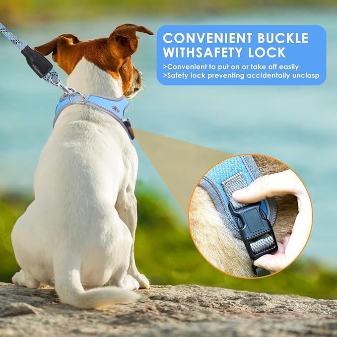Dog Harness and Leash Set, No Pull Saddle Style Pet Harness, Breathable Mesh Adjustable Reflective Dog Vest for Medium Small Dogs Harness 2 D-Rings, Blue, XS - Image 5