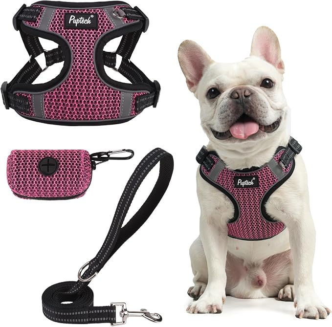 PUPTECK Dog Harness and Leash Set Small Sized, Step in No Pull Adjustable Puppy Cat Harness Reflective Pet Vest by PUPTECK
