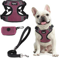 PUPTECK Dog Harness and Leash Set Small Sized, Step in No Pull Adjustable Puppy Cat Harness Reflective Pet Vest by PUPTECK
