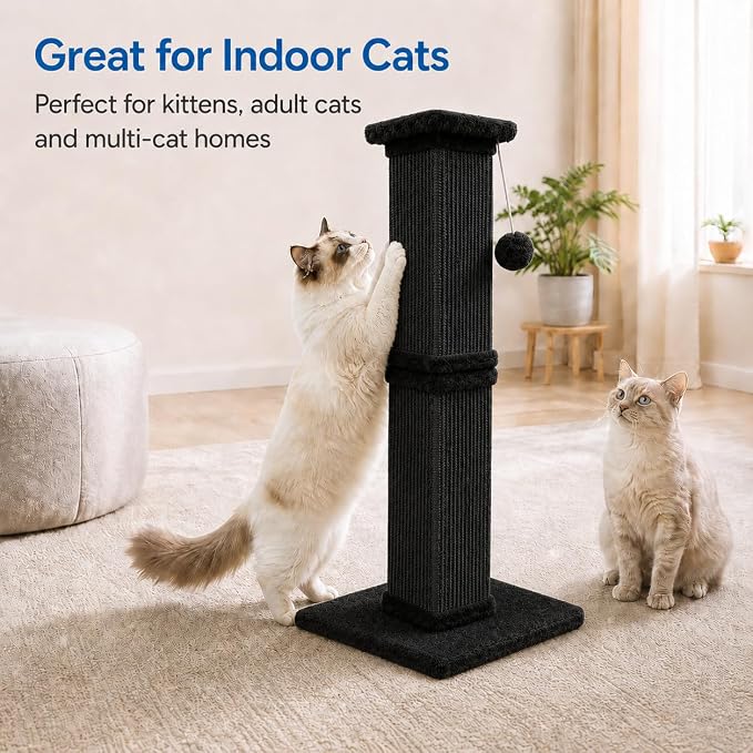 Cat Scratching Post for Indoor Cats, Sisal Cat Scratcherl, 32 Inch | Full-Body Stretching Cat Scratch Post, Wide Stable Base, Heavy Duty Post for Cat Adults to Protect Furniture, Pure Black - Image 6