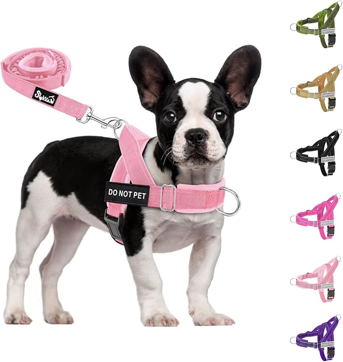 SlowTon No Pull Dog Harness with Front Clip - Heavy Duty, Soft Padded | Neck & Chest Adjustable, Tactical Pet Vest and Leash Set for Large Medium Sized Dogs, for Easy Walk & Training, Pink S by SlowTon